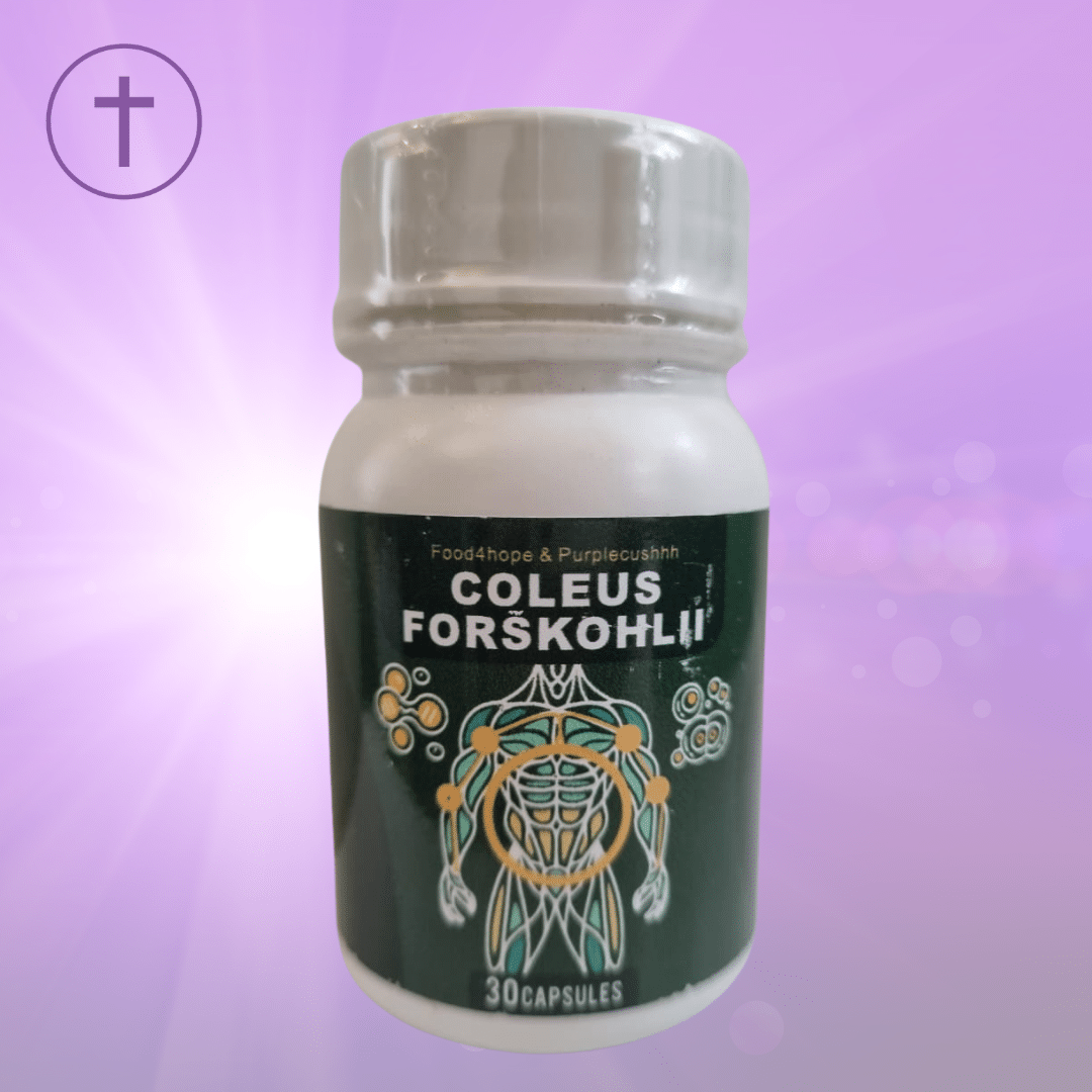 Coleus_Forskohlii_Purple_Cushhh_www.purplecushhh.com