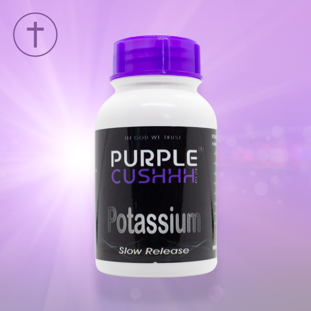 Purple-Cushhh-Potassium-www.purplecushhh.com